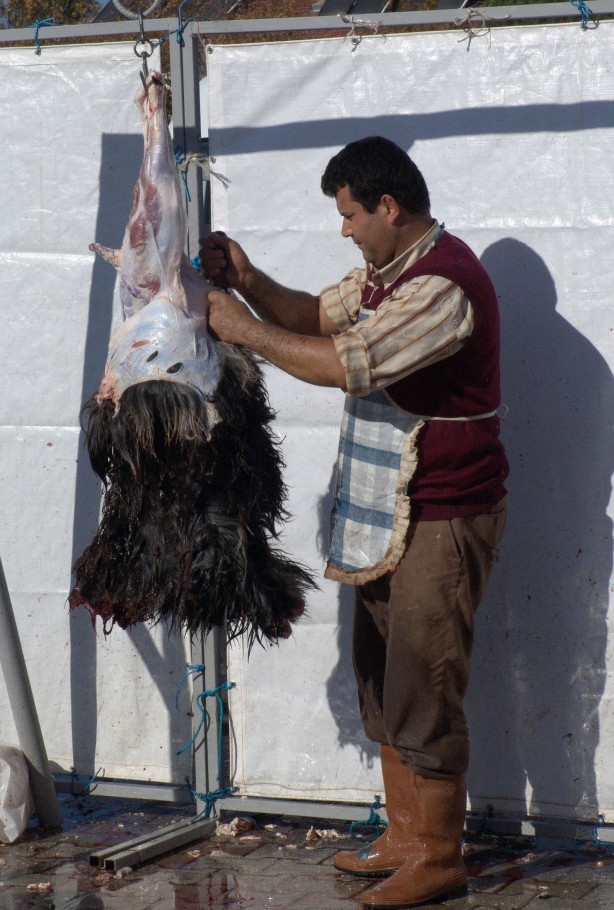 Foto - Kurban nasıl kesilir?