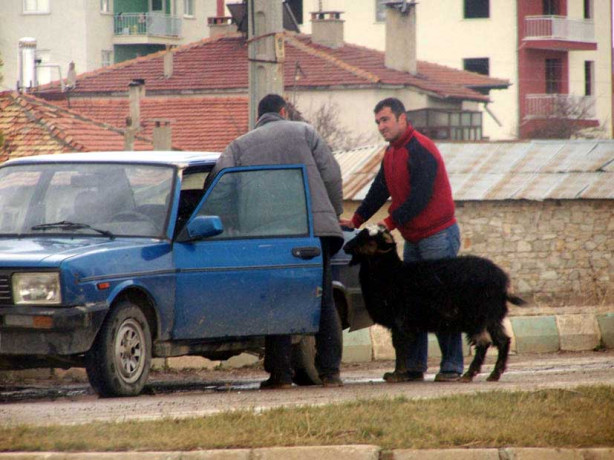 Foto - Kurban nasıl kesilir?