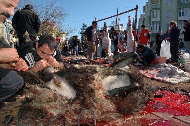 Foto - Kurban nasıl kesilir?