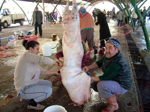 Foto - Kurban nasıl kesilir?