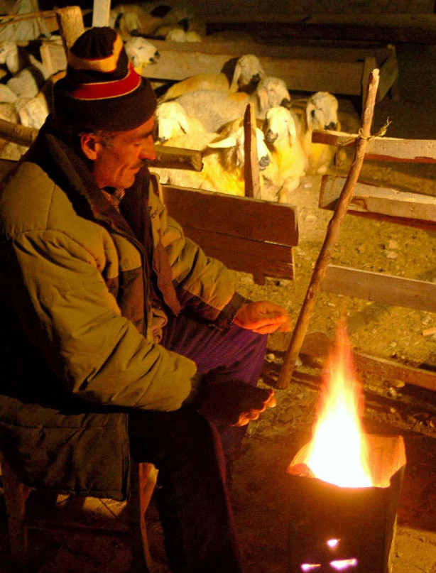 Foto - Kurban nasıl kesilir?