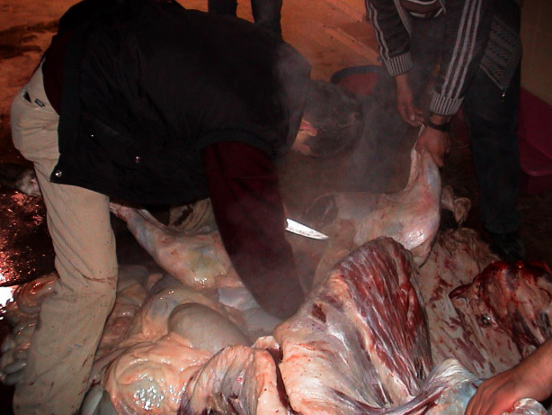 Foto - Kurban nasıl kesilir?