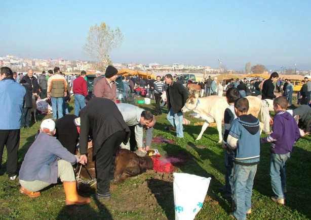 Foto - Kurban nasıl kesilir?