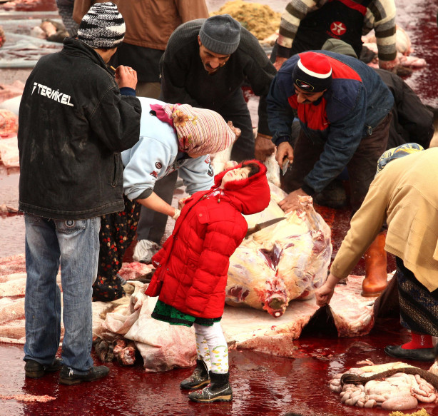 Foto - Kurban nasıl kesilir?