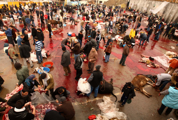 Foto - Kurban nasıl kesilir?