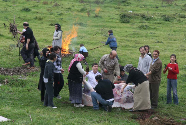 Foto - Kurban nasıl kesilir?