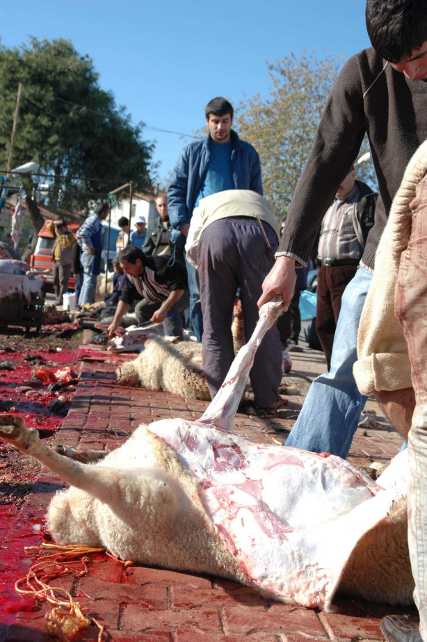 Foto - Kurban nasıl kesilir?