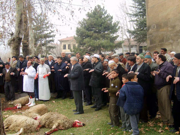 Foto - Kurban nasıl kesilir?
