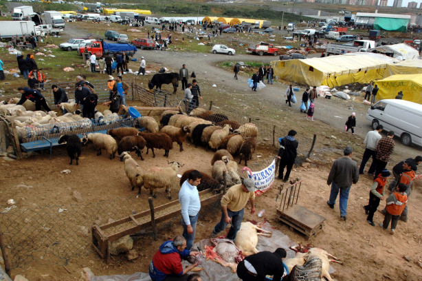 Foto - Kurban nasıl kesilir?