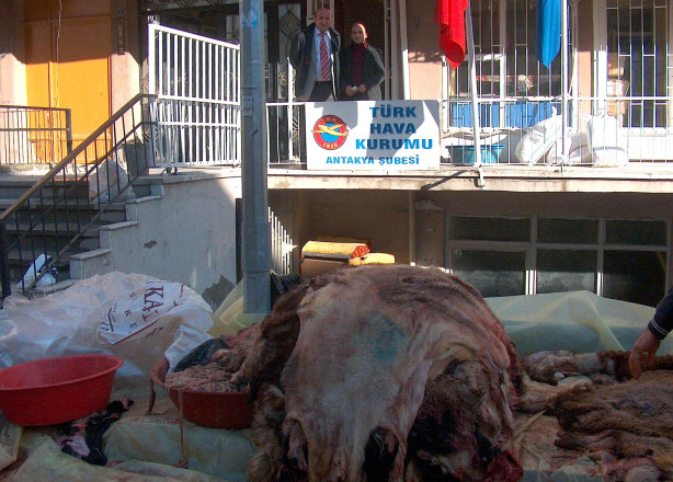 Foto - Kurban nasıl kesilir?