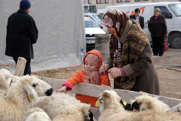 Foto - Kurban nasıl kesilir?