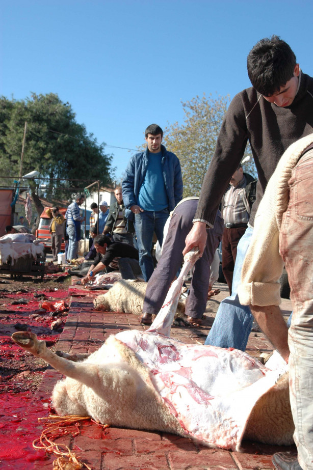 Foto - Kurban nasıl kesilir?