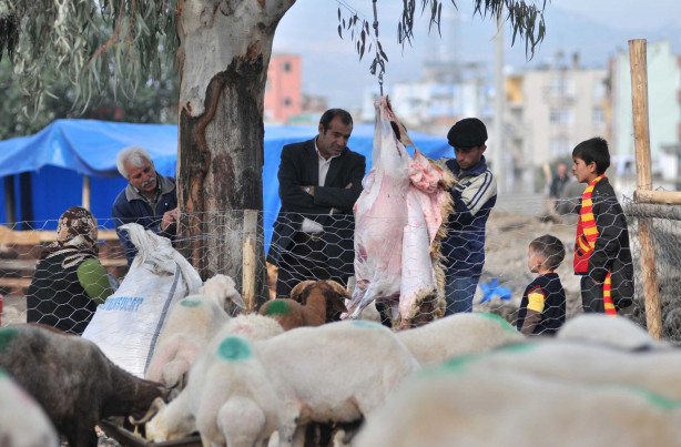 Foto - Kurban nasıl kesilir?
