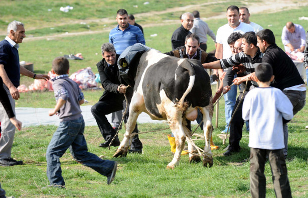 Foto - Kurban nasıl kesilir?