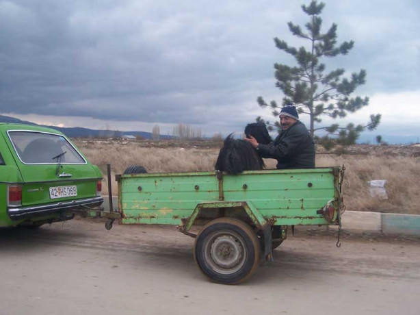 Foto - Kurban nasıl kesilir?