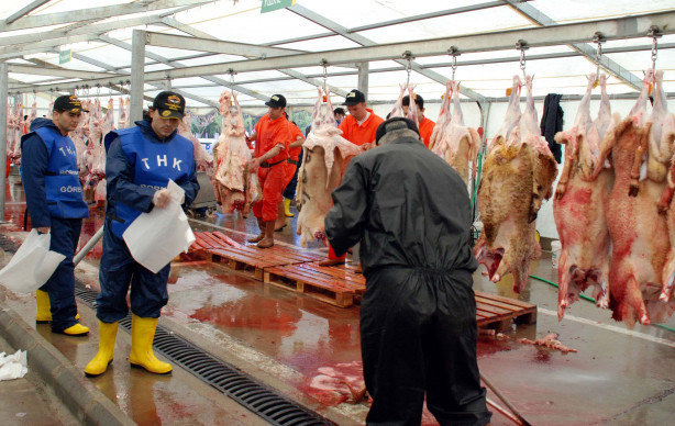 Foto - Kurban nasıl kesilir?