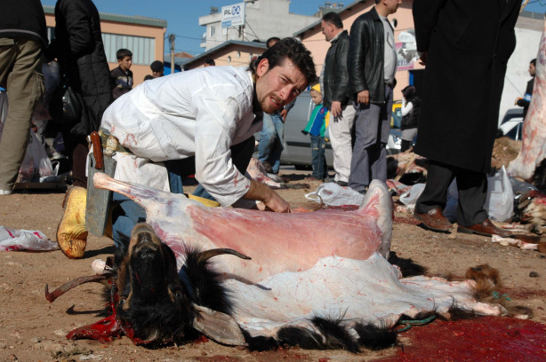 Foto - Kurban nasıl kesilir?