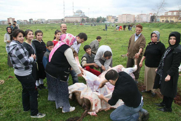 Foto - Kurban nasıl kesilir?