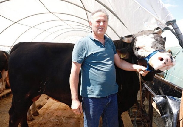 Foto - Kurban pazarlarında yeni oyuna aman dikkat! Bu tuzağa sakın düşmeyin