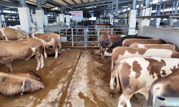 Foto - Kurban satıcıları, sahte para ve dolandırıcılar konusunda uyarıldı