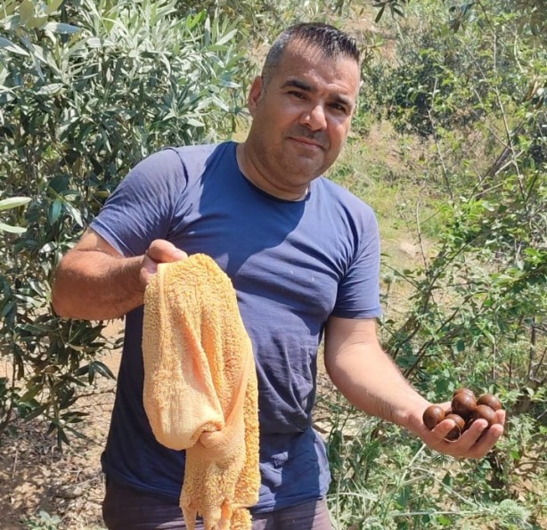 Kurbanlığın karnından çıkanlar şoke etti! 'İlk defa böyle bir şey gördük'