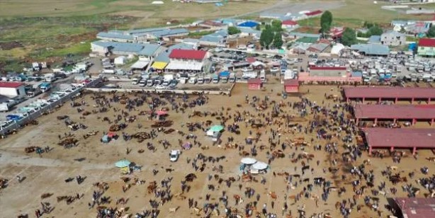 Kurbanlık alacaklar aman dikkat! Kurban ibadetiyle ilgili işte bilinmesi gereken detaylar belli oldu