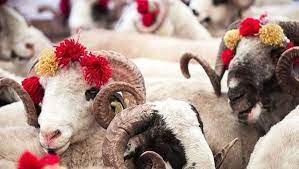 Foto - Kurbanlık alacaklar aman dikkat! Kurban ibadetiyle ilgili işte bilinmesi gereken detaylar belli oldu