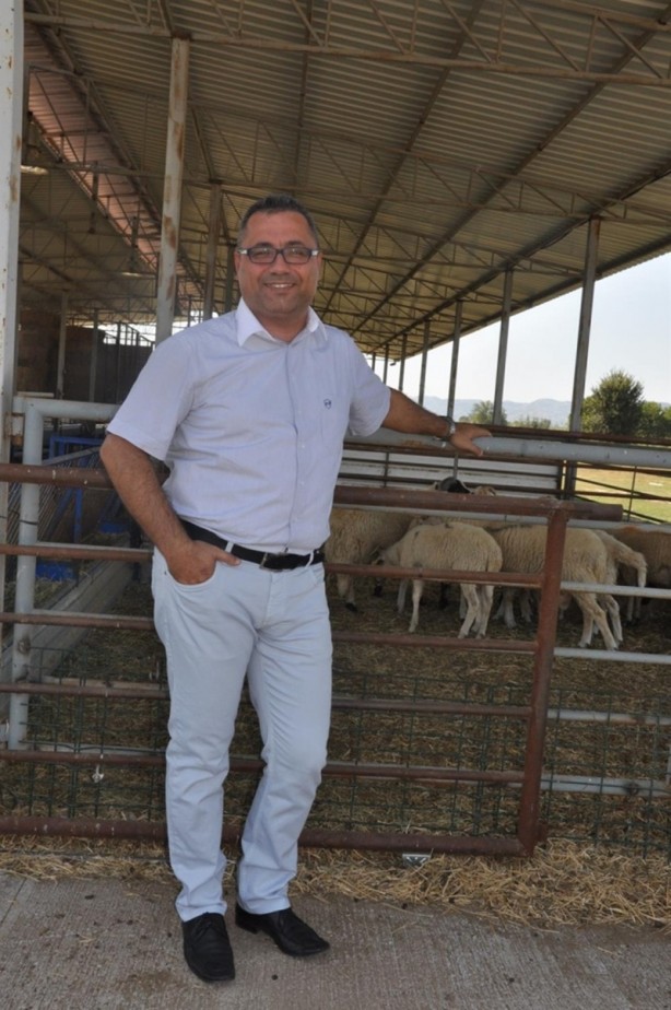 Kurbanlık almanın püf noktası