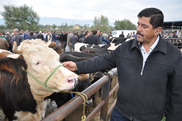 Foto - Kurbanlık almanın püf noktası