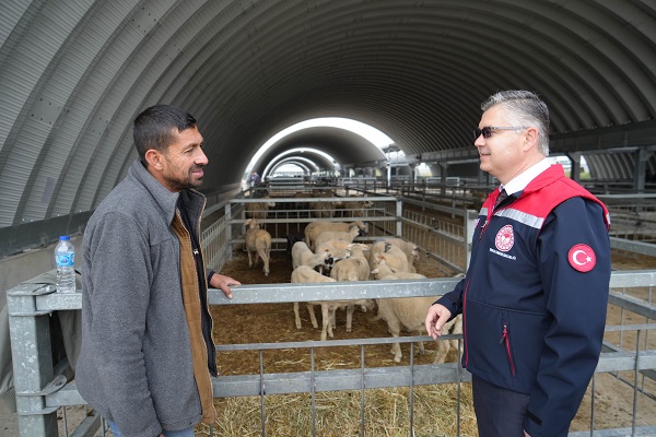 Foto - Kurbanlık fiyatları belli oldu mu?