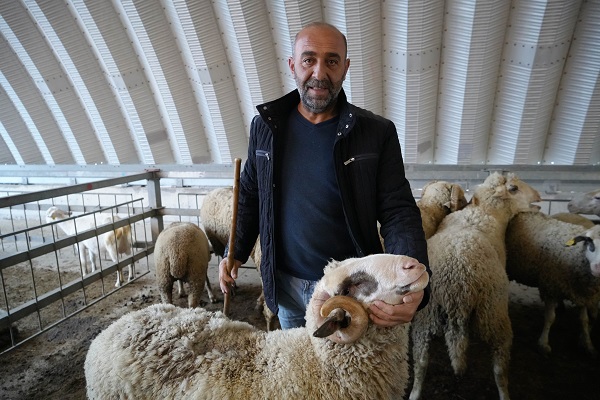 Foto - Kurbanlık fiyatları belli oldu mu?