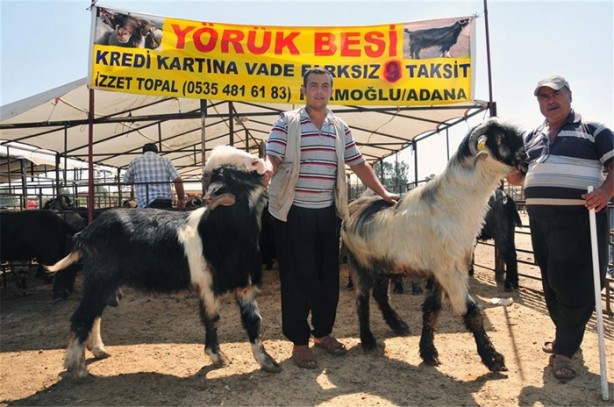 Foto - Kurbanlık fiyatlarında son durum