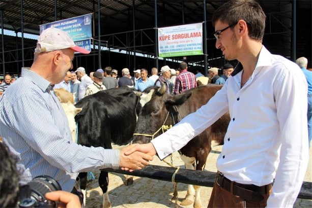 Foto - Kurbanlık fiyatlarında son durum