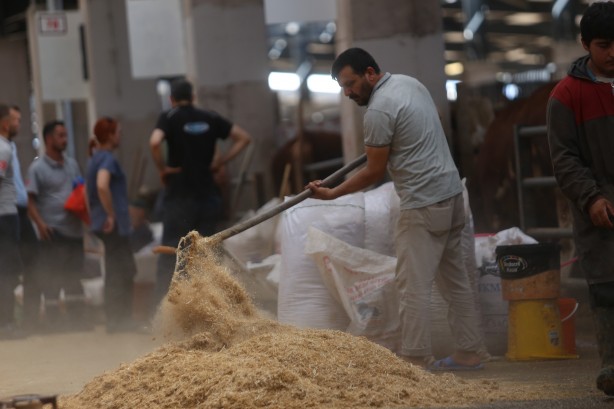 Foto - Kurbanlık satışları istenen düzeyde olmayınca, satıcılar indirim yaptı