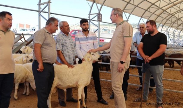 Foto - Kurbanlıkların fiyatı düştü!
