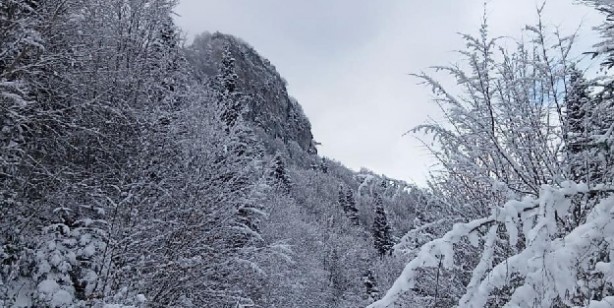 Foto - Küre Dağlarında kar yağışı etkili oldu