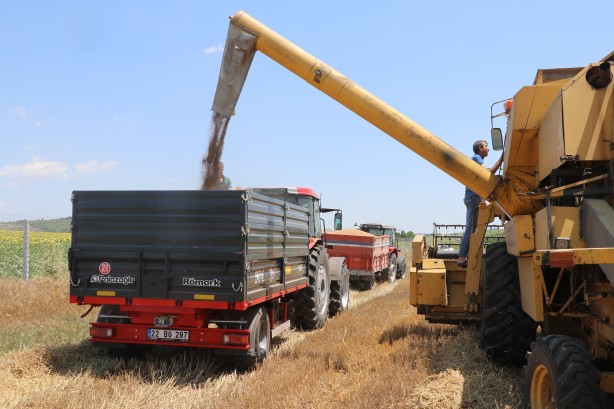 Foto - Küresel gıda krizi gündemde dururken Edirne'den çok güzel haber geldi