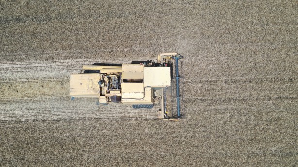 Foto - Küresel gıda krizi gündemde dururken Edirne'den çok güzel haber geldi