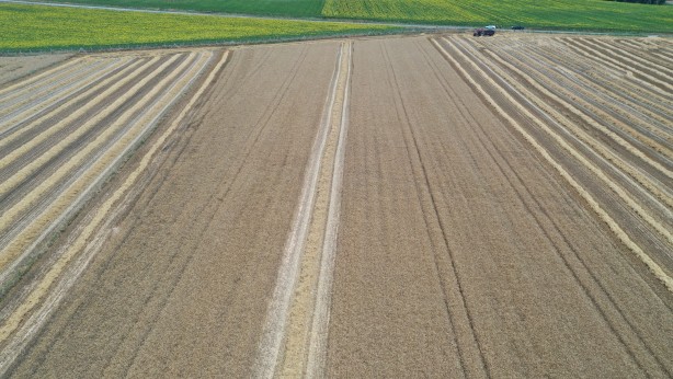 Foto - Küresel gıda krizi gündemde dururken Edirne'den çok güzel haber geldi