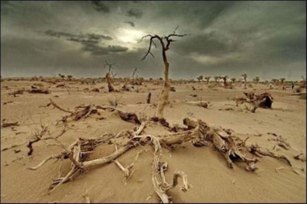 Foto - 500 milyon kişiyi evinden edebilir