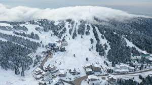 Küresel ısınma: Dünyanın gözü orada! Türkiye dahil Avrupa ülkesi için dehşet düşüren azalma uyarısı 