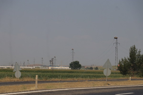 Foto - Küresel ısınma onları da etkiledi! Gelecek adına korkutan açıklama