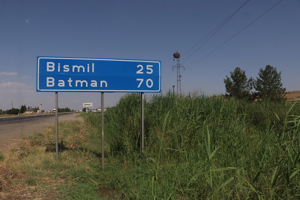 Foto - Küresel ısınma onları da etkiledi! Gelecek adına korkutan açıklama