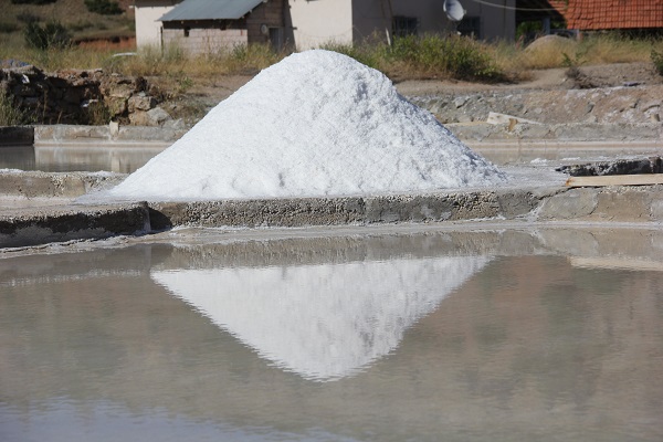 Foto - Küresel ısınma onları da etkiliyor!