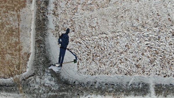 Foto - Küresel ısınma onları da etkiliyor!