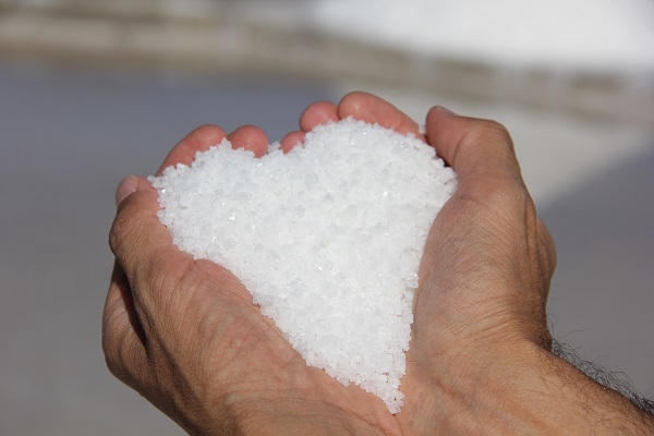 Küresel ısınma onları da etkiliyor!