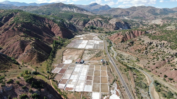 Foto - Küresel ısınma onları da etkiliyor!