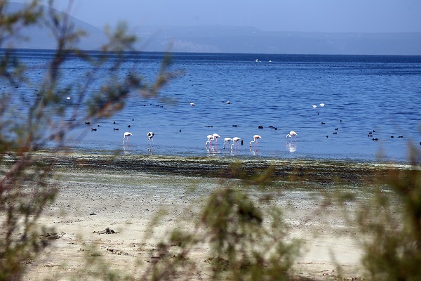Foto - Küresel ısınmanın en net örneklerinden! O göl tam 30 metre çekildi