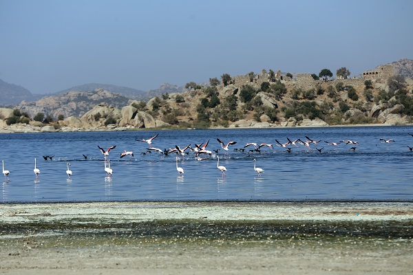 Foto - Küresel ısınmanın en net örneklerinden! O göl tam 30 metre çekildi