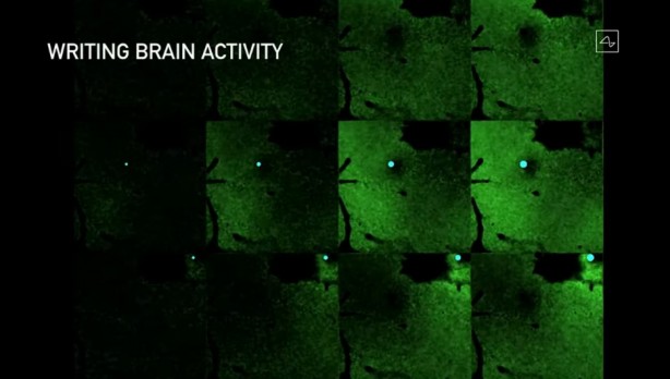 Foto - Küreselciler insanlığı robotlaştırmak için iş başında! Ve Elon Musk çipi tanıttı